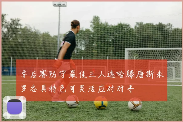 季后赛防守最佳三人选哈滕唐斯米罗各具特色可灵活应对对手
