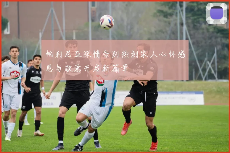 帕利尼亚深情告别热刺家人心怀感恩与敬意开启新篇章