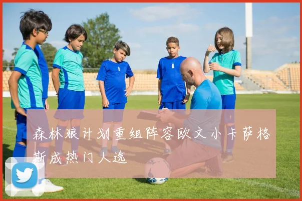 森林狼计划重组阵容欧文小卡萨格斯成热门人选