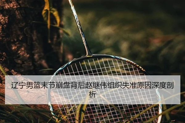 辽宁男篮末节崩盘背后赵继伟组织失准原因深度剖析